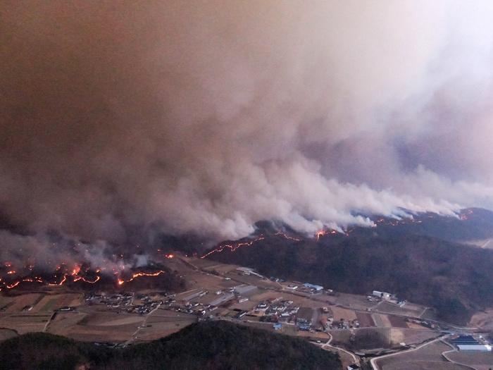 韓國山火持續蔓延 國家遺產廳發布最高級別警報