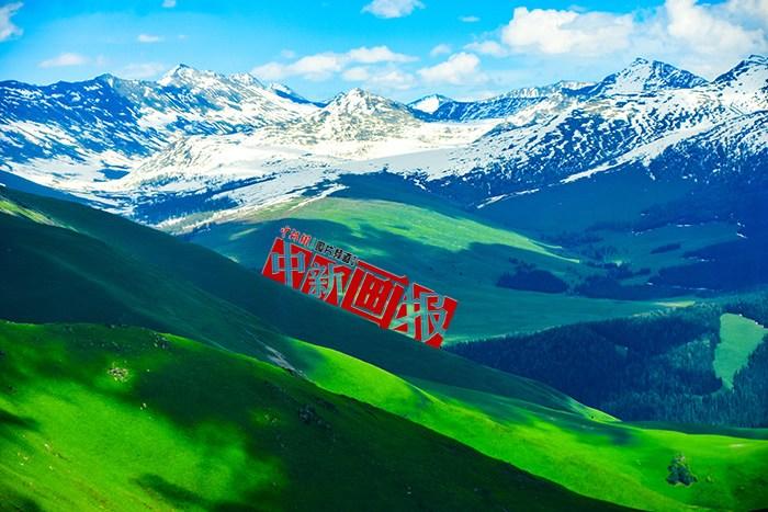 將夏天的“綠” 裝進屏幕里，一組護眼壁紙請查收！