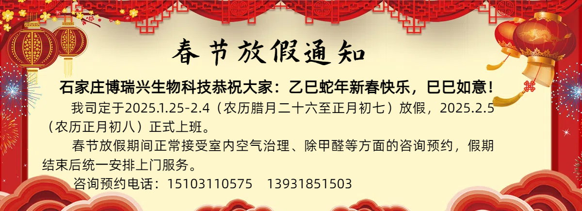 2025年春節放假通知